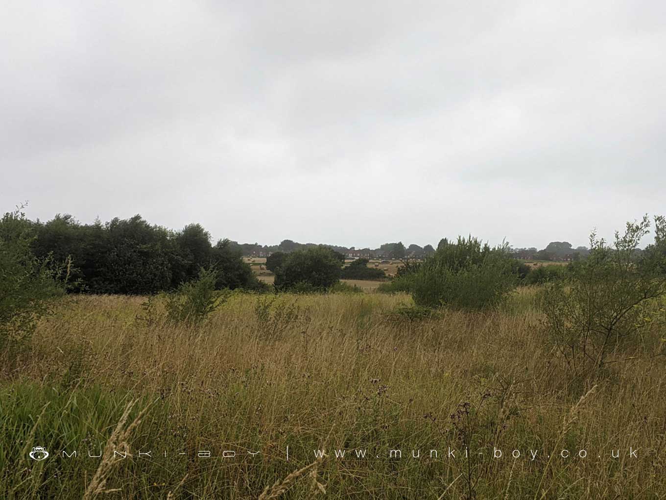 Town Image