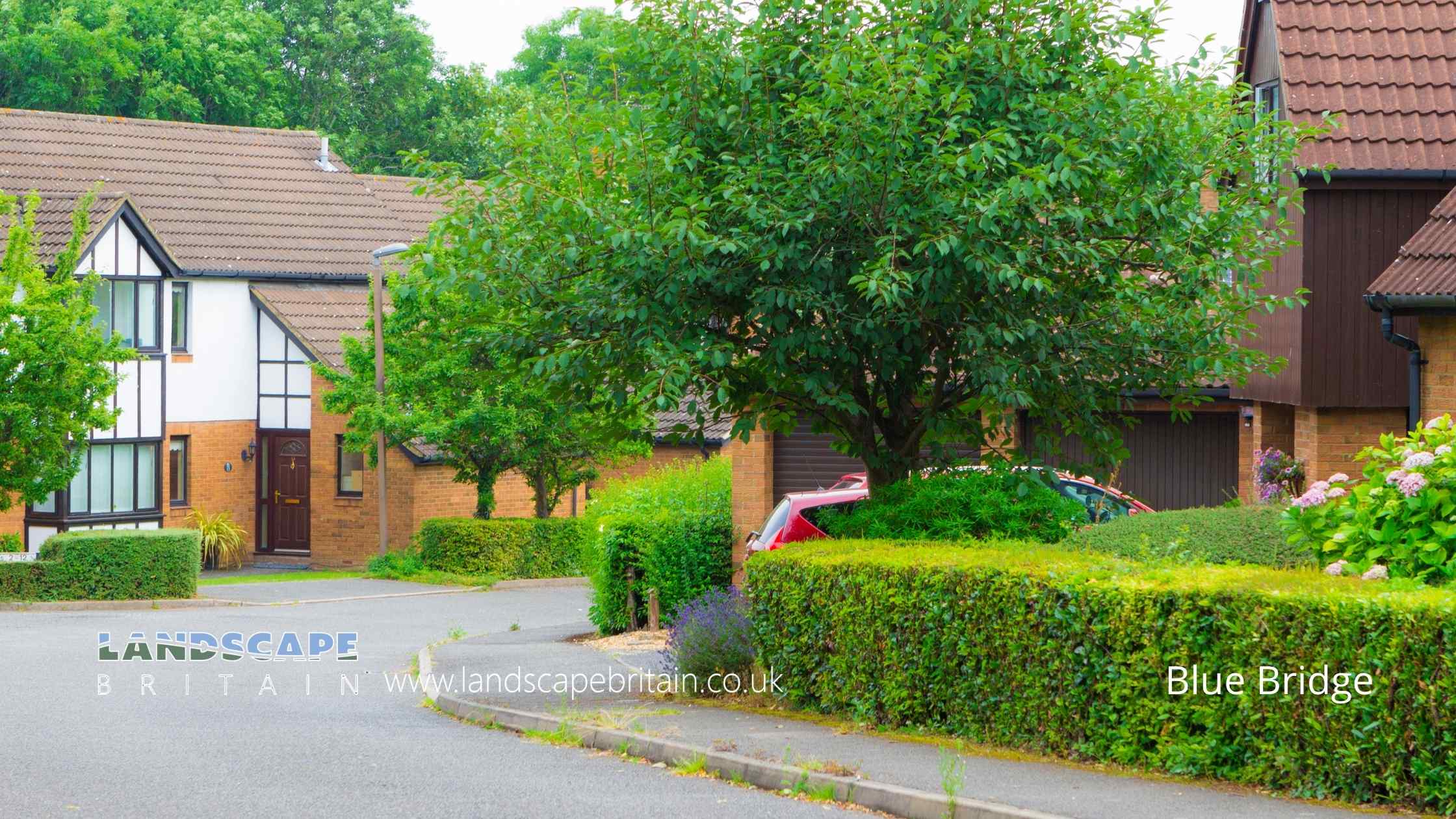 Town Image