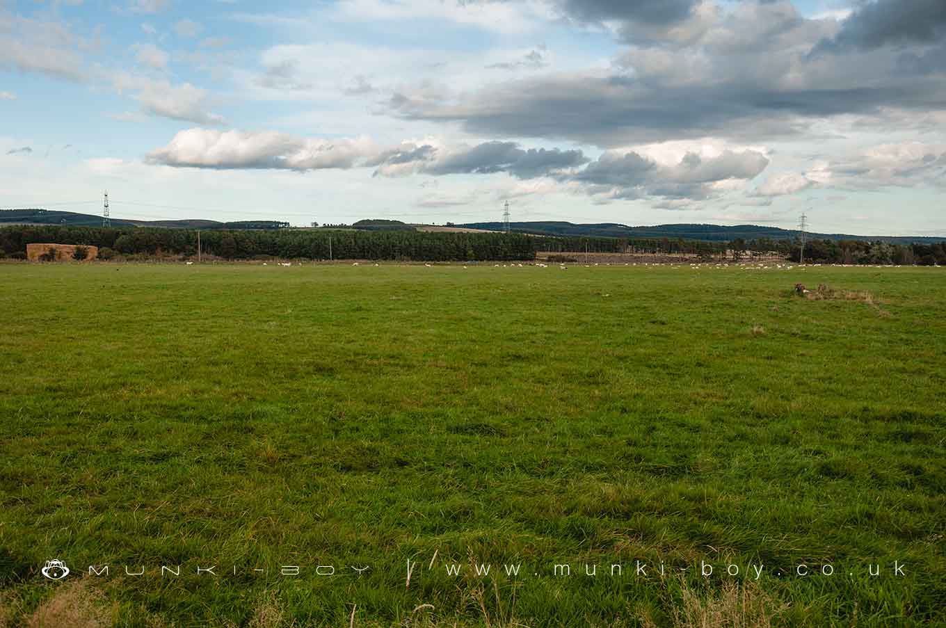 Town Image
