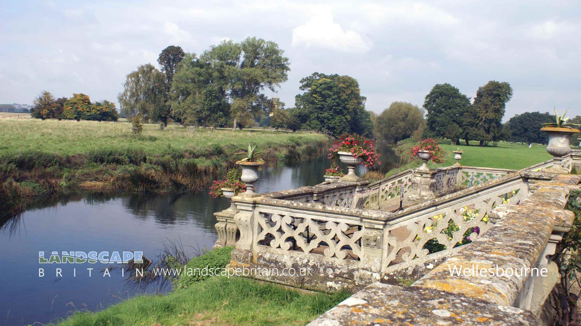 Town Image